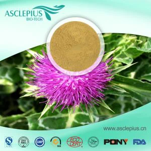 مورد مسحوق مستخلص الشوك الحليب بالجملة / المكونات النشطة هي سيليبين وسيليمارين