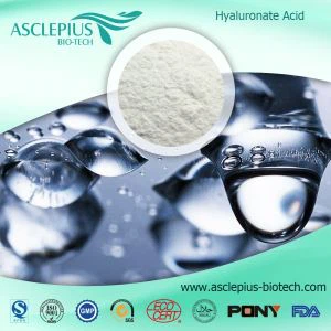 بروتين زيت بذور الكتان